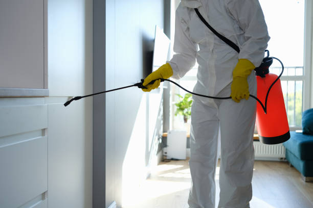 Best Crawl Space Mold Removal  in Manorhaven, NY