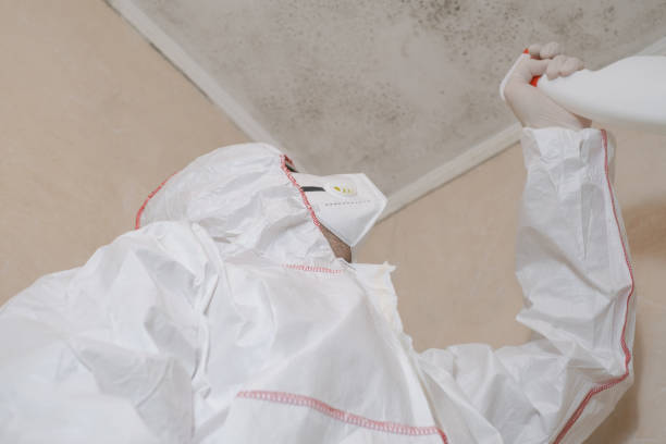 Certified Mold Removal in Manorhaven, NY