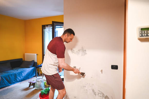 Best Fast Mold Removal  in Manorhaven, NY